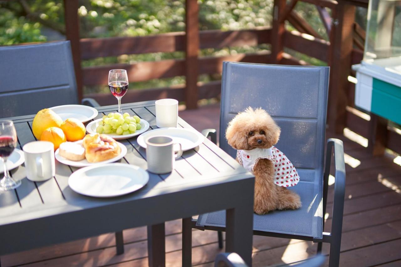 Suite Villa Nasukogen Doggy'S Ohana Zewnętrze zdjęcie